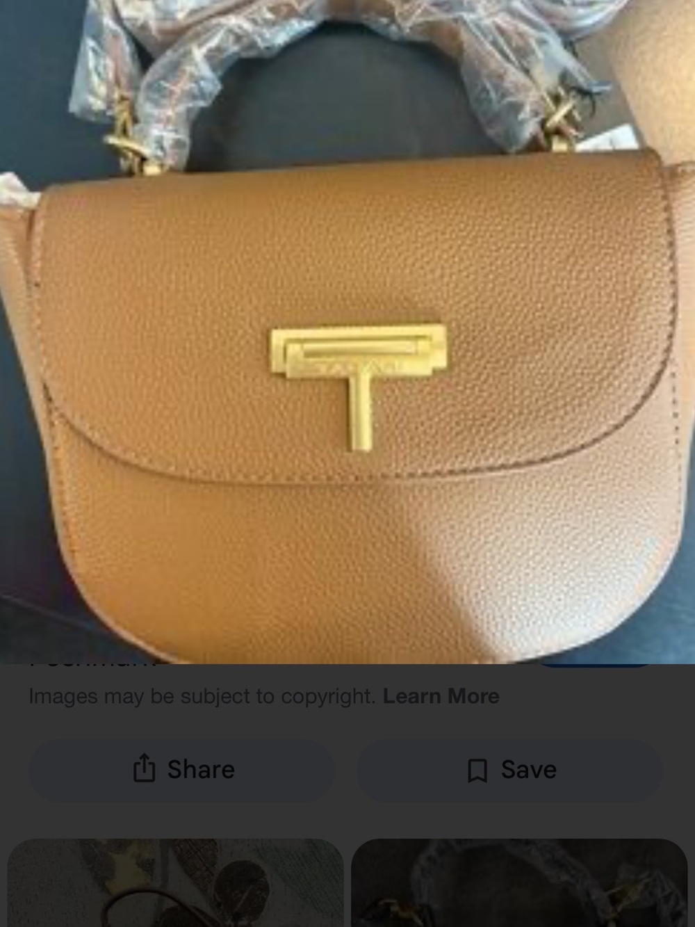 NWt Tahari Ariana Cross Body bag